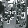 Punk art, 1984 - Source: Liz Gash