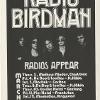 Radio Birdman advertising, 1977 - Source: Required