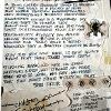 COS lyric sheet, c. 1985 - Source: COS